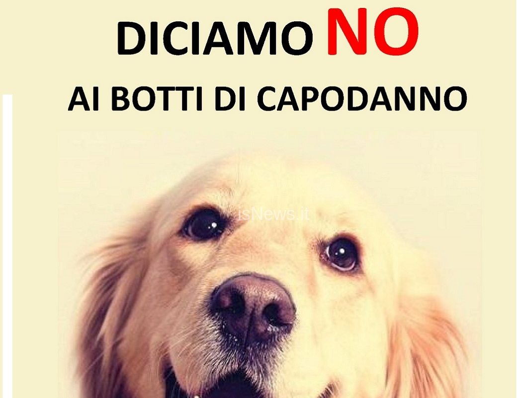 No ai botti di Capodanno!
