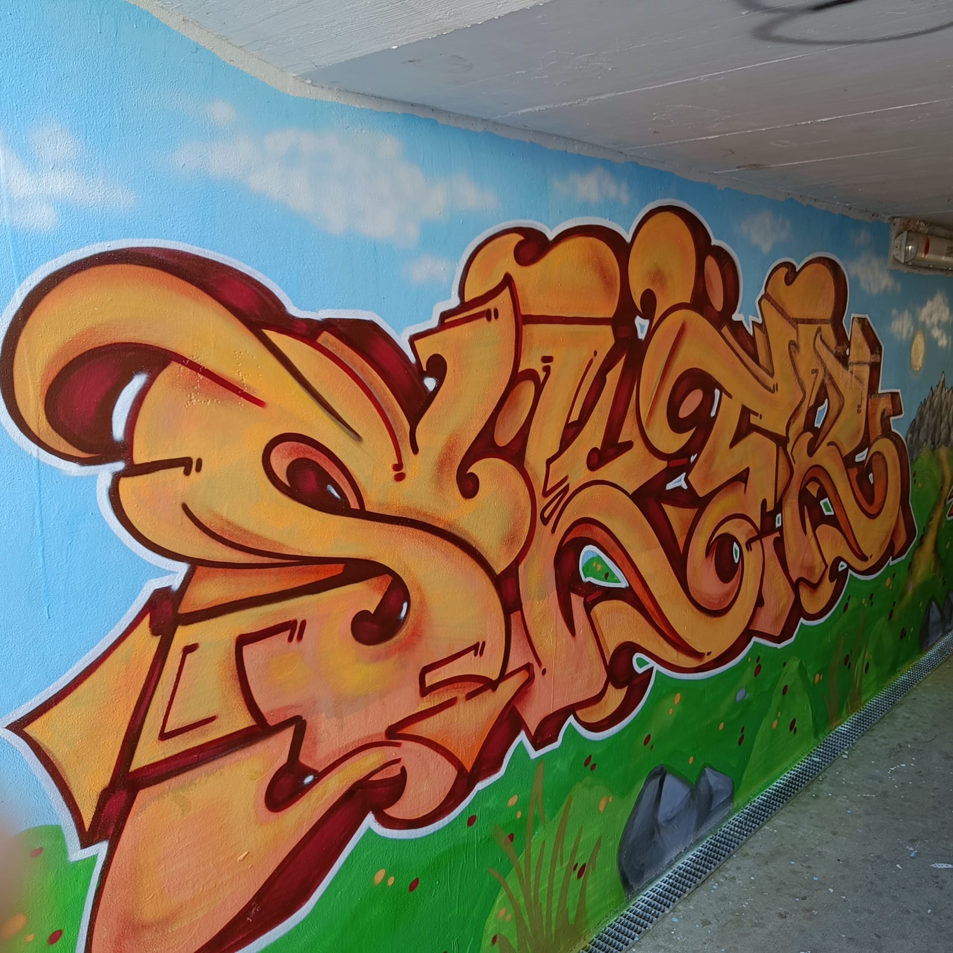 Progetto “Writers” per Cesate